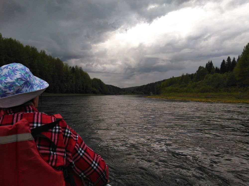 Photo #9558566