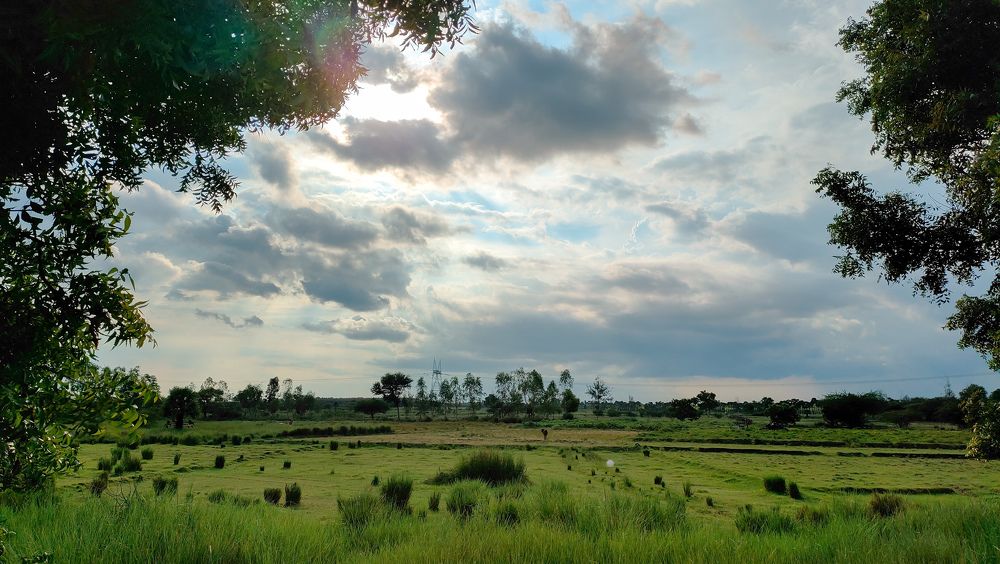 Photograph by Pushparaj natarajan