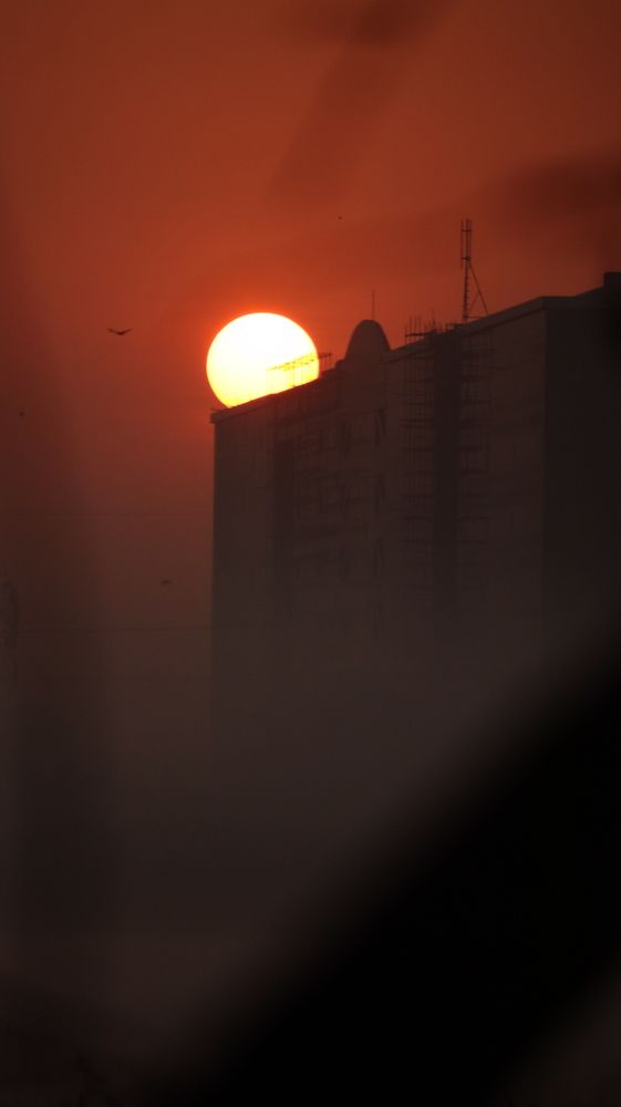 Photograph by Hari Raghavan