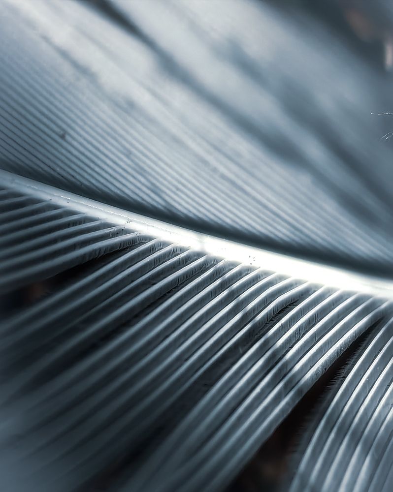 Фотография автора Юра Кладухин