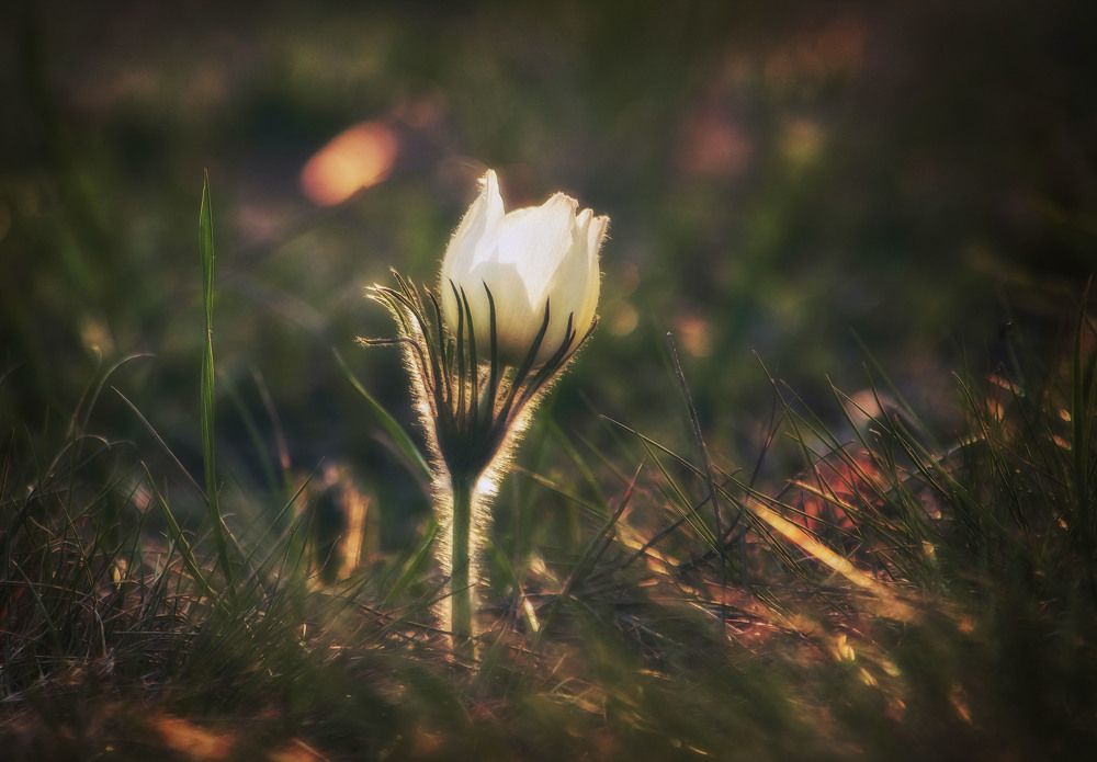 Photograph by Юлия Лушникова