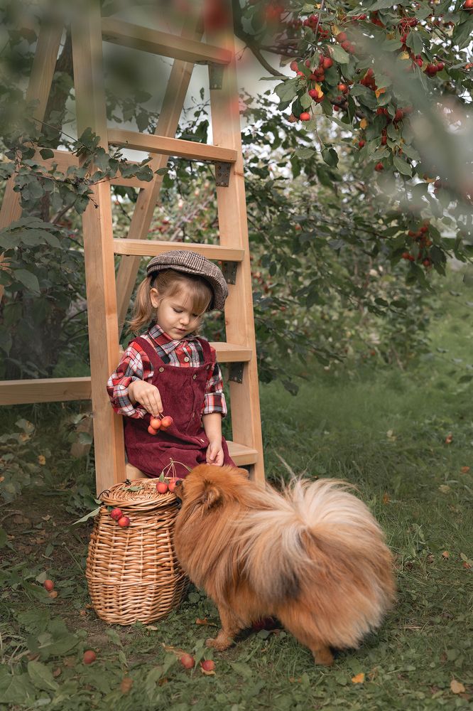 Фотография автора Ксения Макасей