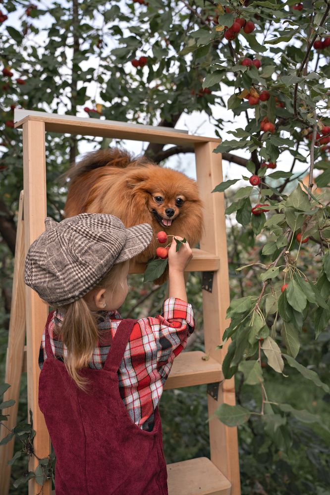 Фотография автора Ксения Макасей