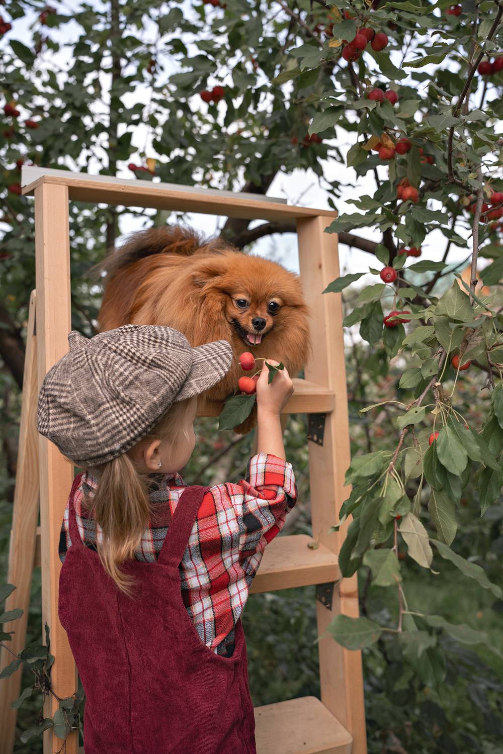 Фотография #9558622