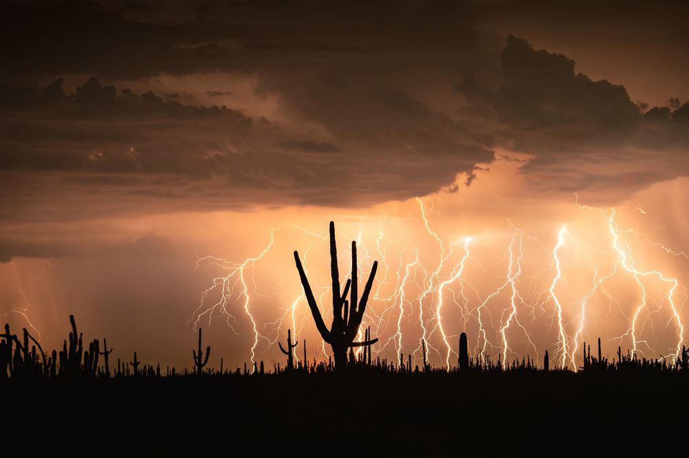 Photograph by Josue Marquez