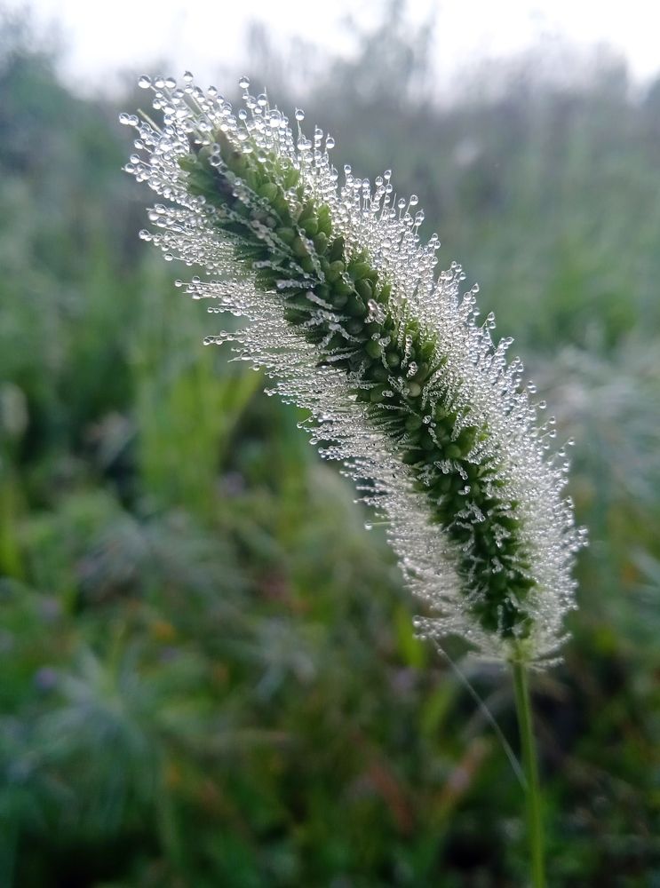 Photograph by Наталья Сорокина