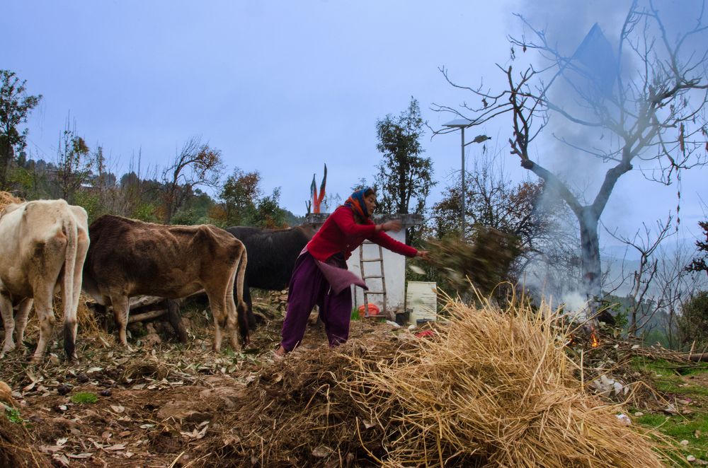 Фотография автора Afzal Khan