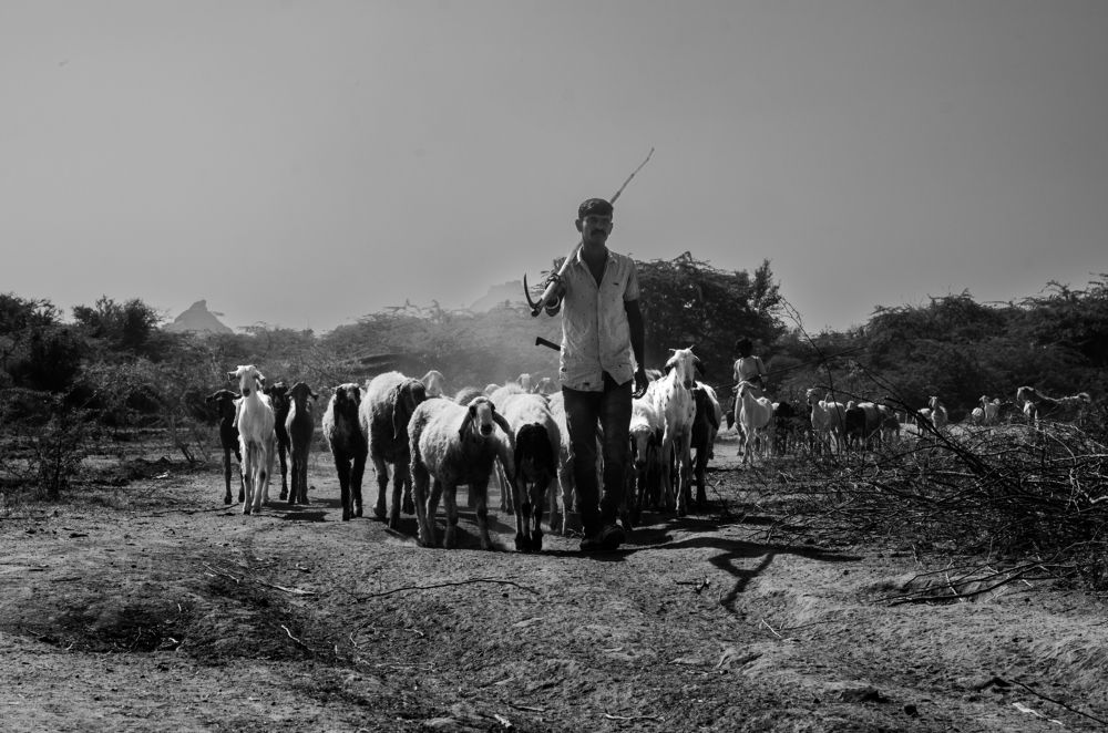 Фотография автора Afzal Khan