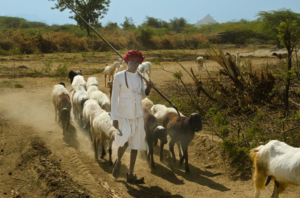 Photograph by Afzal Khan