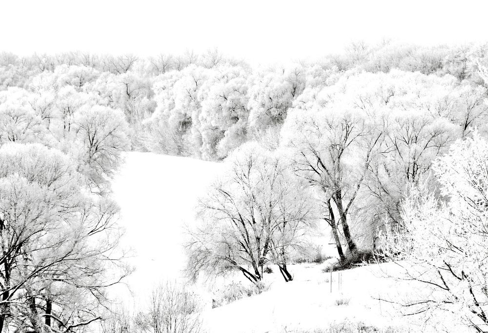 Снегом покрыта природа