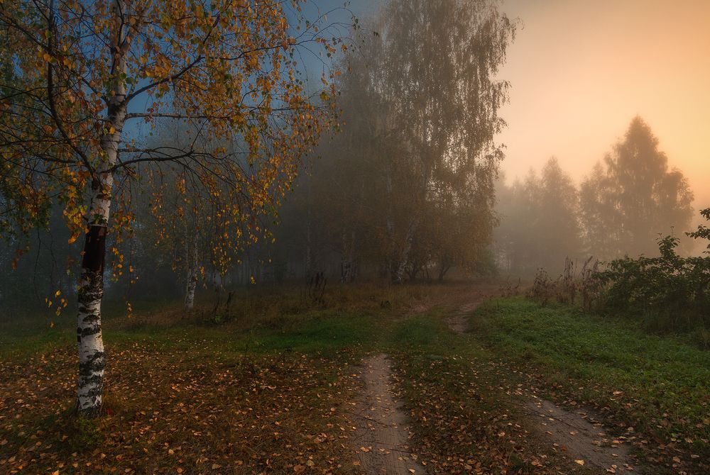 Photograph by Елена Потемина