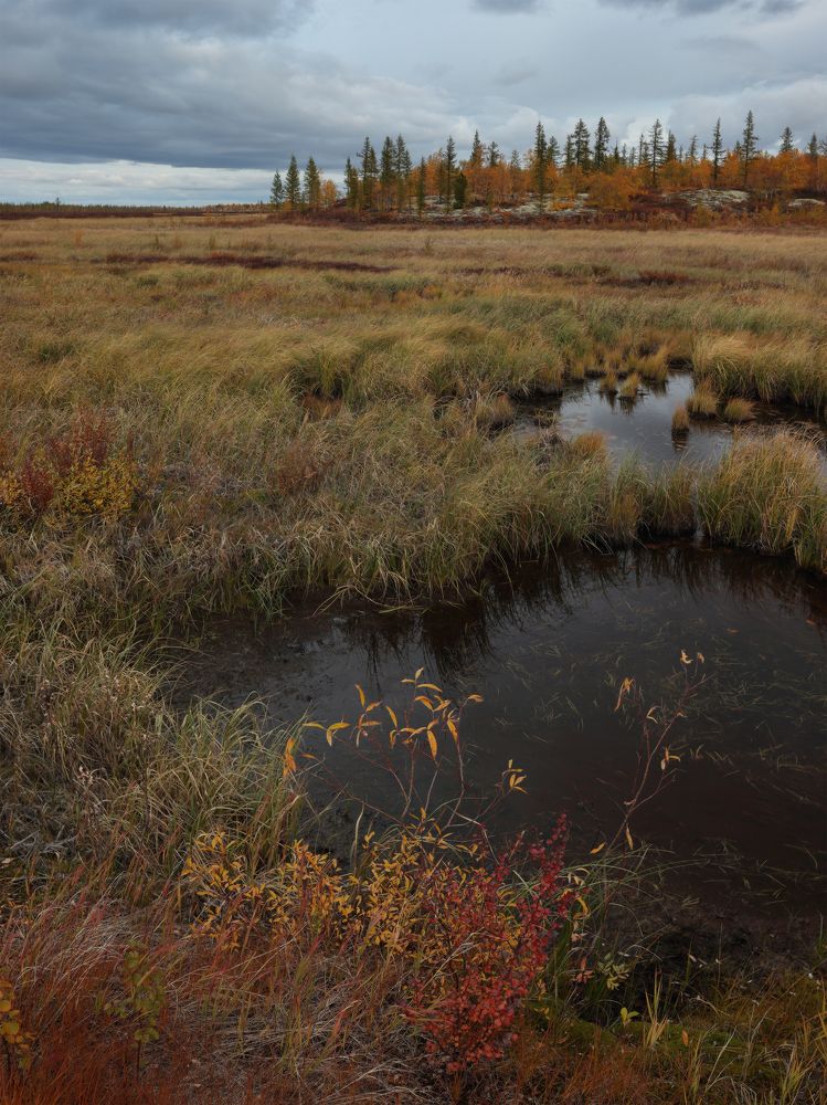 Photograph by Светлана Смирнова