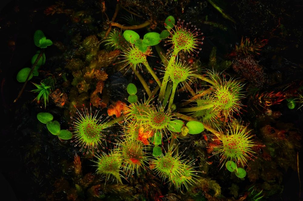 Photograph by Владимир Борозенец