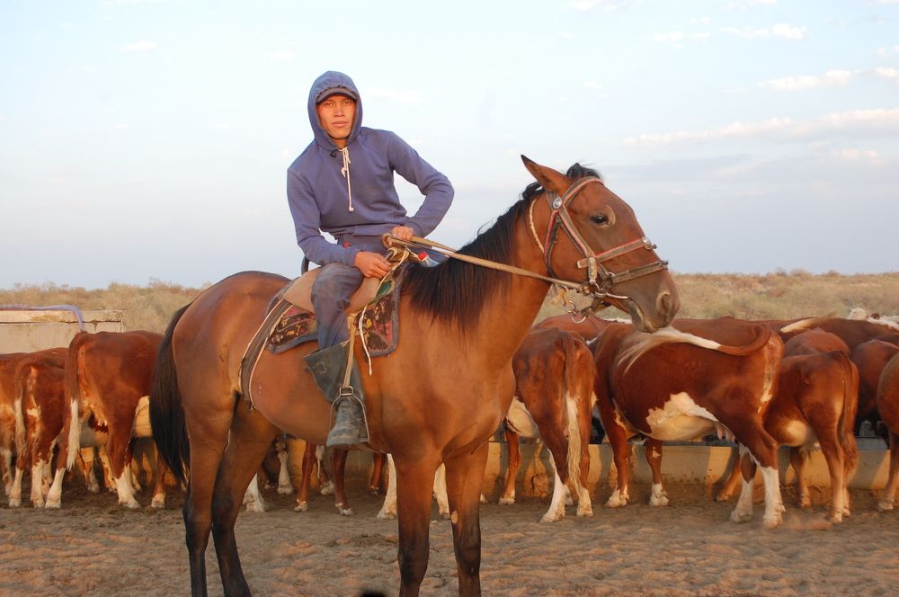 Photograph by Канат Идрисов