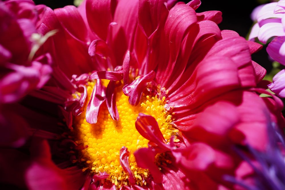 Фотография автора Вадим Коваленко