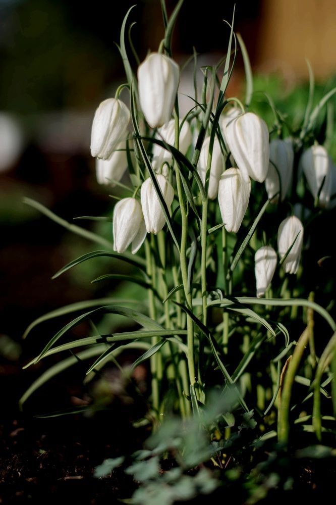 Photograph by Наталья Сорокина