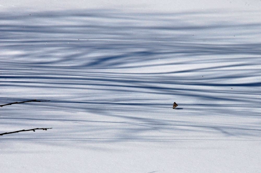 Photograph by Наталья Сорокина