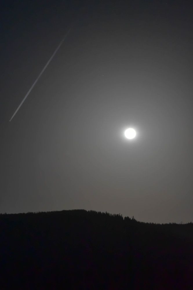 Photograph by Наталья Сорокина