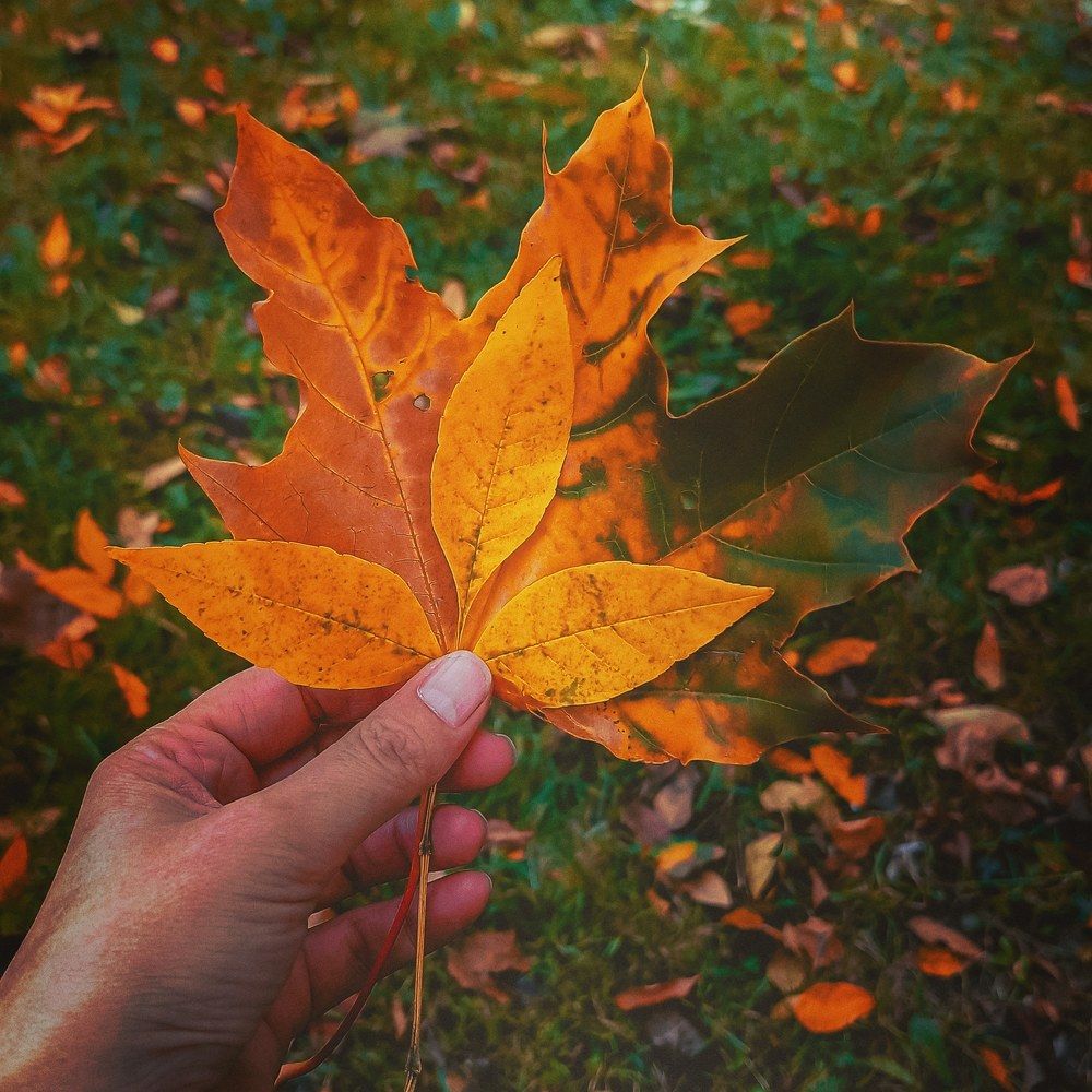 Photograph by Ирина Забродина