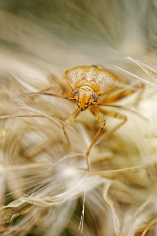 Фотография автора Jozef Mihalčin