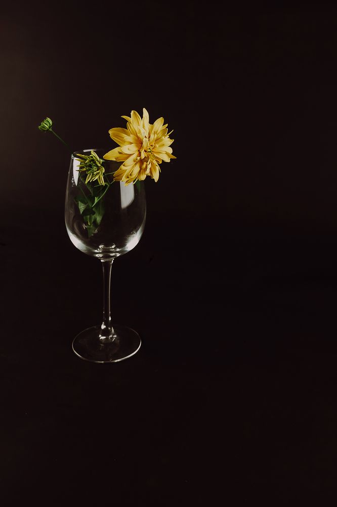 Фотография автора Альбина Кадочникова