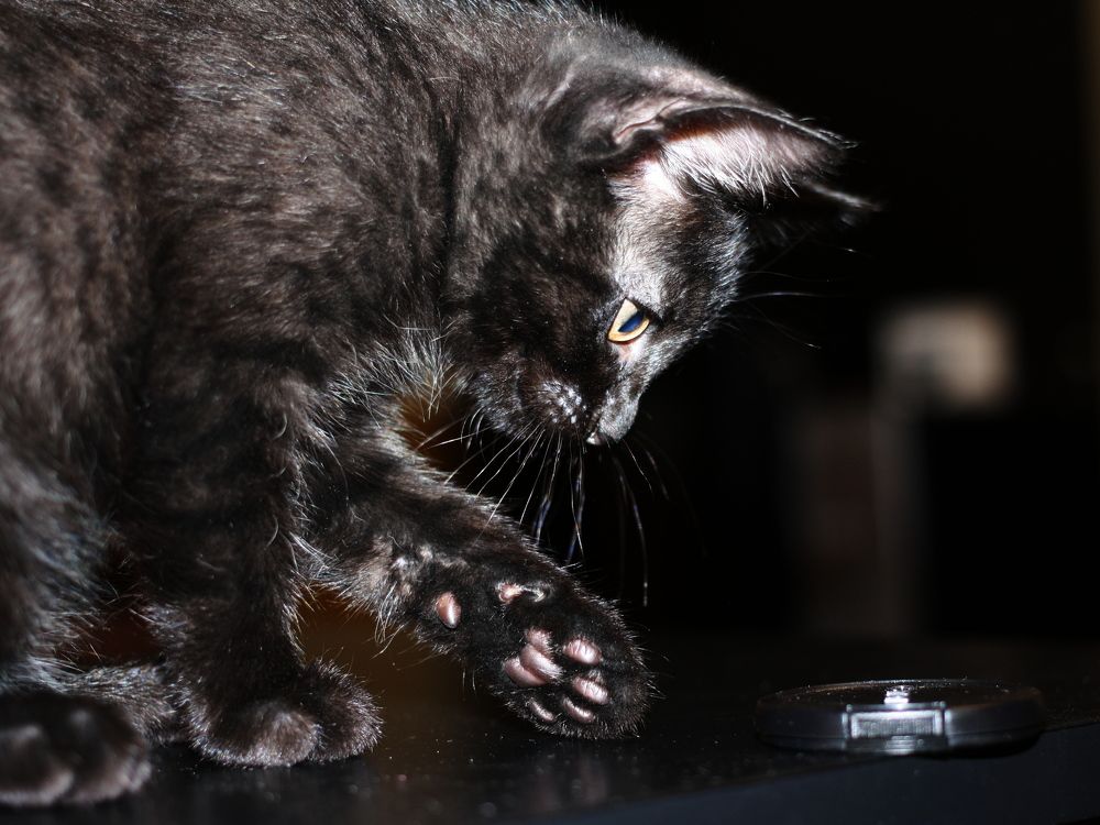 Photograph by Наталья Дубовкина