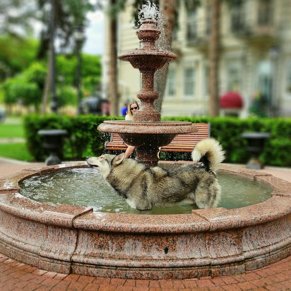 Photograph by Алексей Виноградов