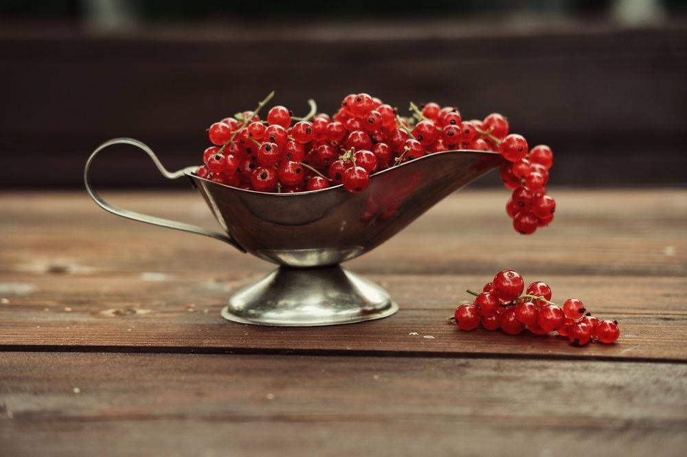 Фотография автора Екатерина Карасева