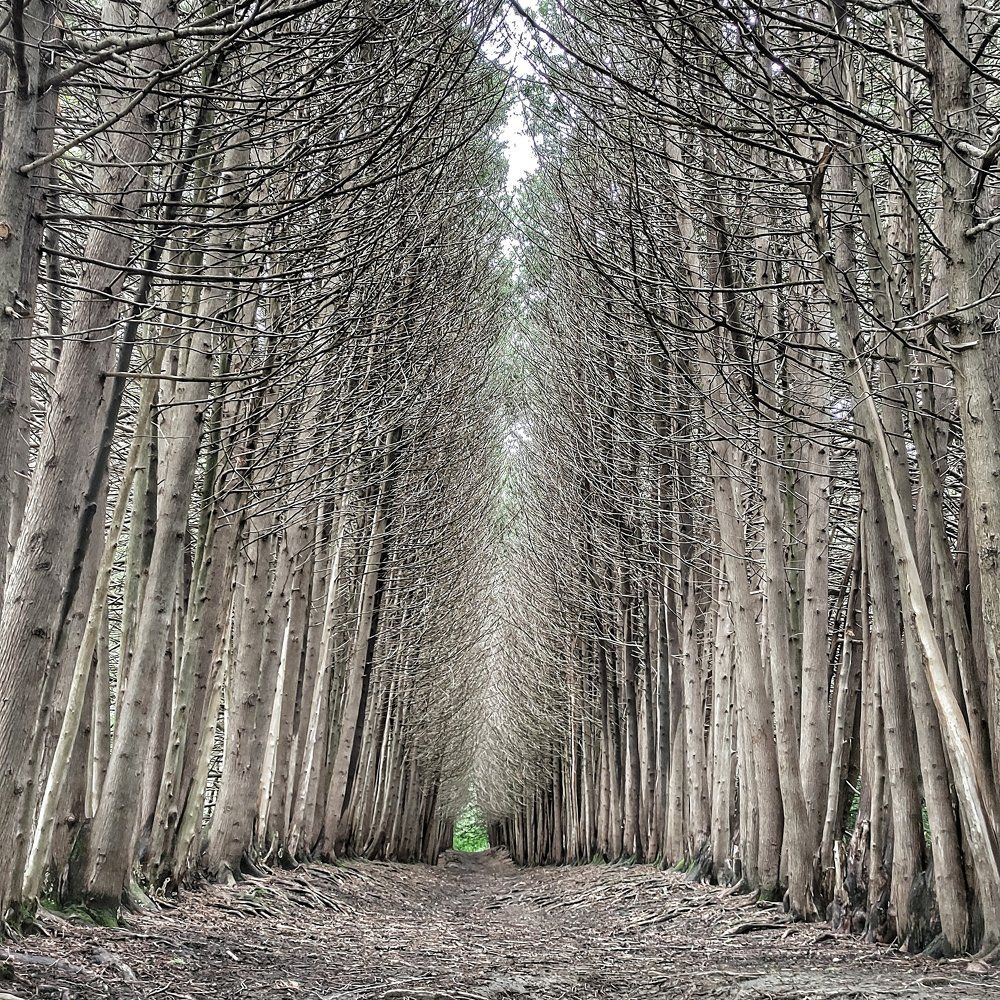Photograph by Алексей Виноградов