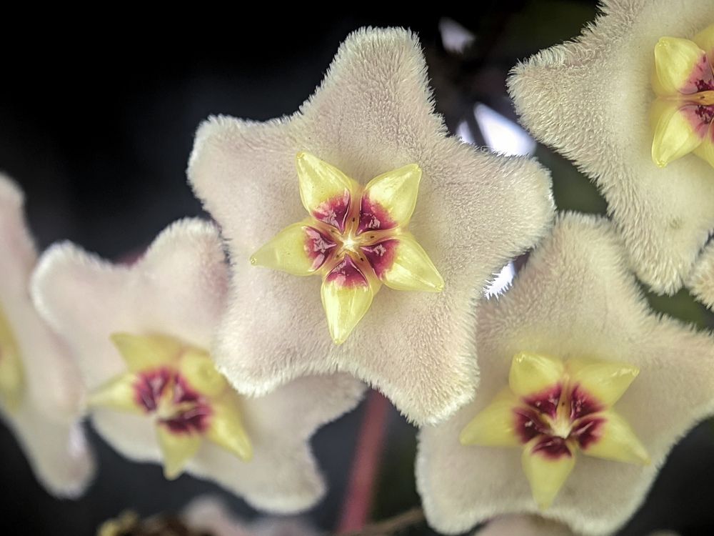 Photograph by Zea Mae N. Maynes