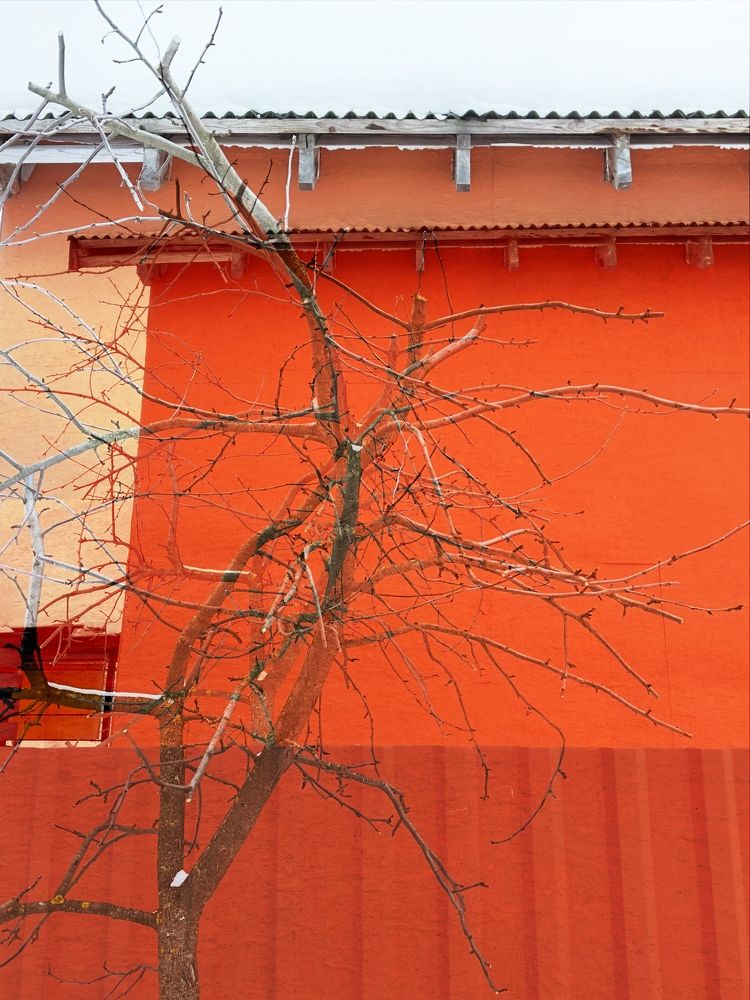 Photograph by Наталья Сережко