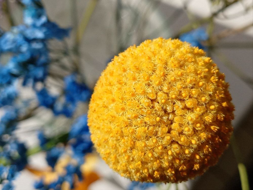 Photograph by Анастасия Кичигина