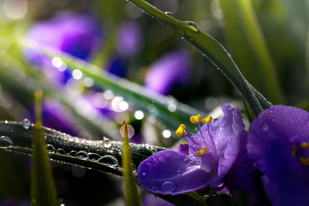 Photograph by Виктор Холодов