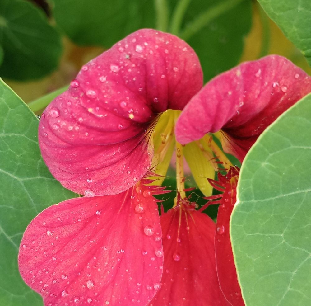 Photograph by Анастасия Кичигина