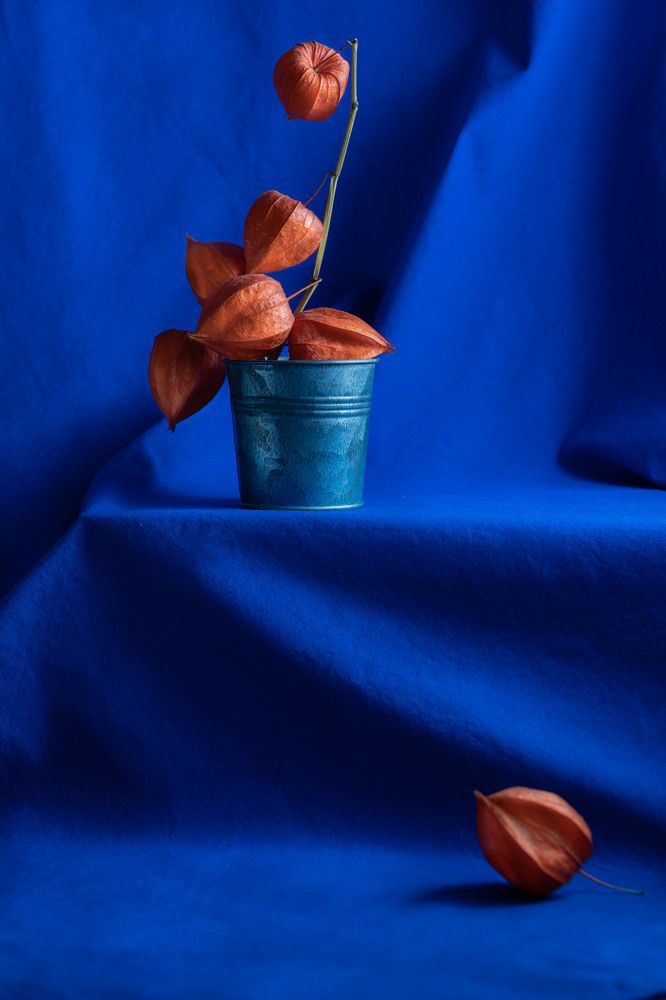 Photograph by Александра Гончаренко