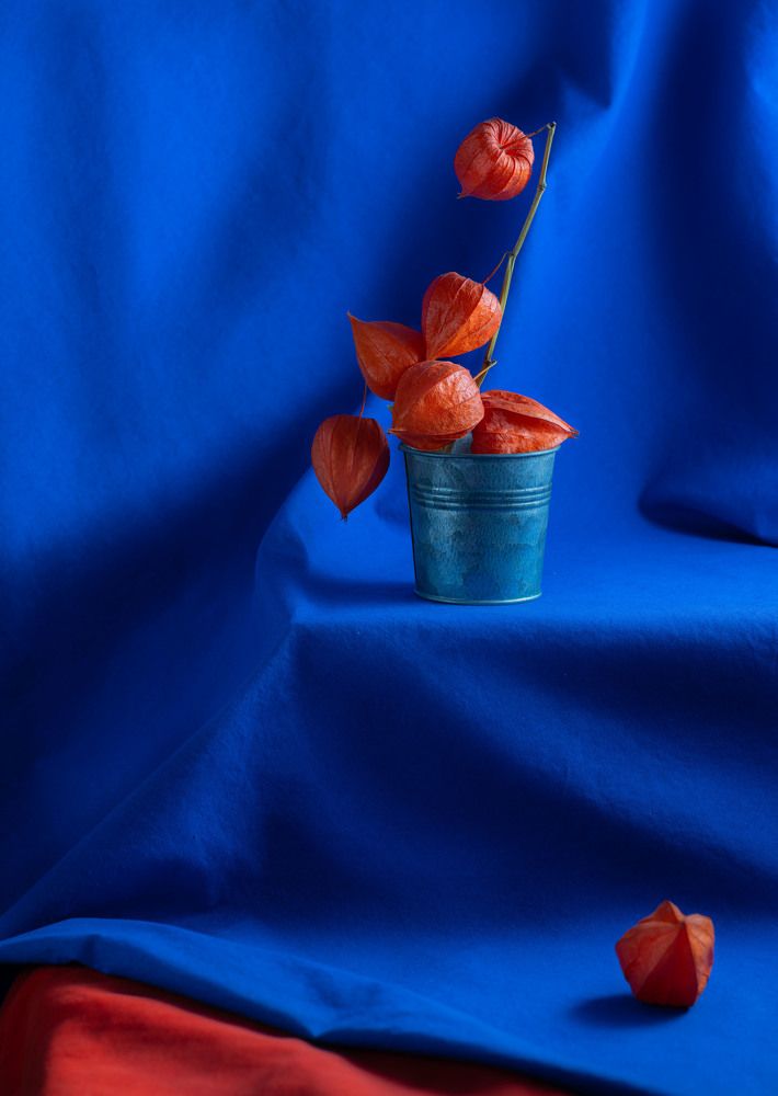 Photograph by Александра Гончаренко