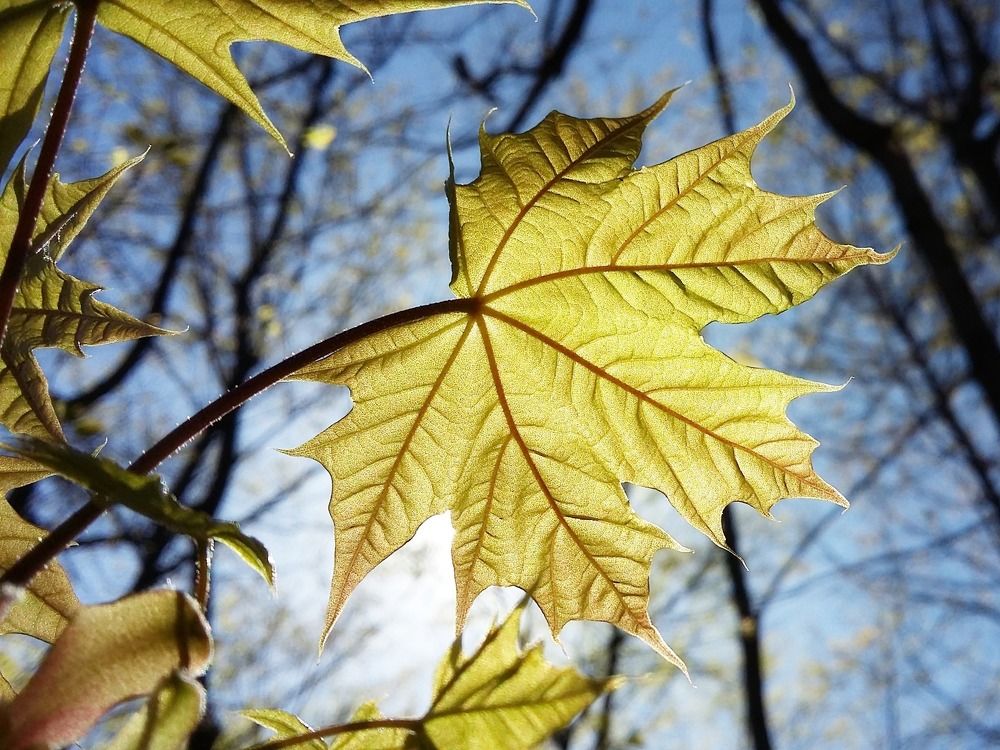 Photograph by Наталья Дубовкина