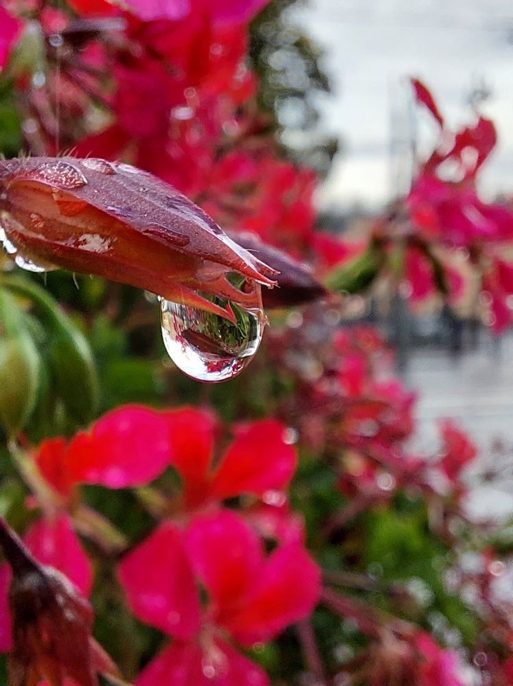 Photograph by Наталья Дубовкина