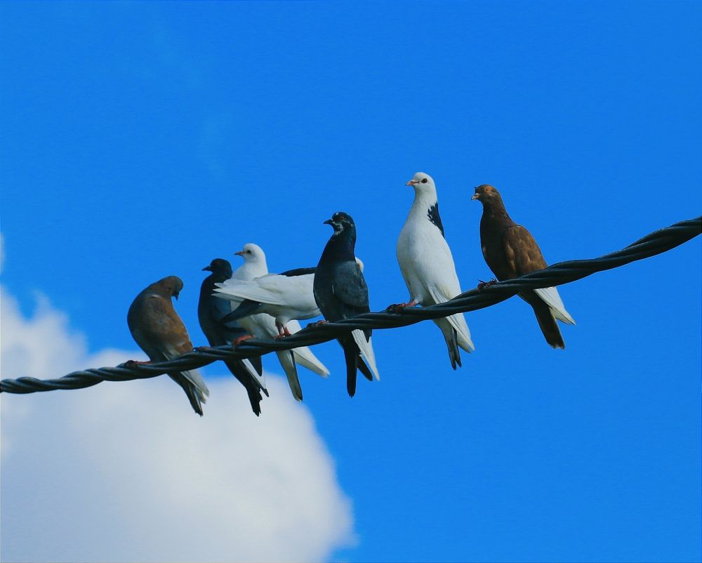 Photograph by Татьяна Исаева