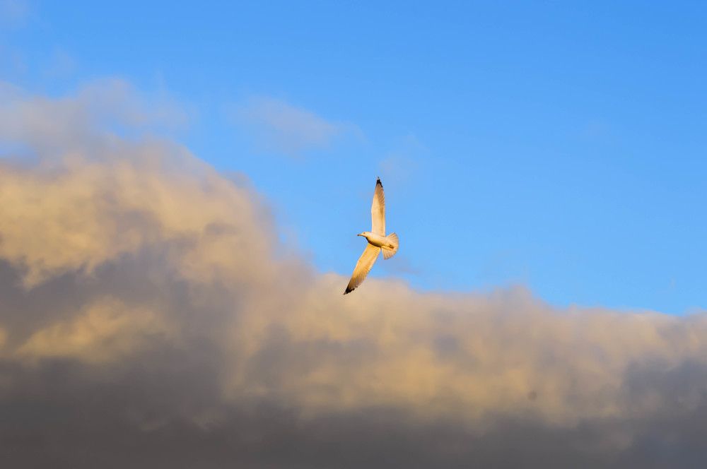 Photograph by Елена