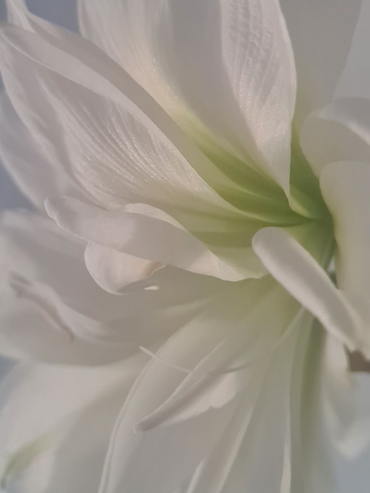 Photograph by Yulia Bilato