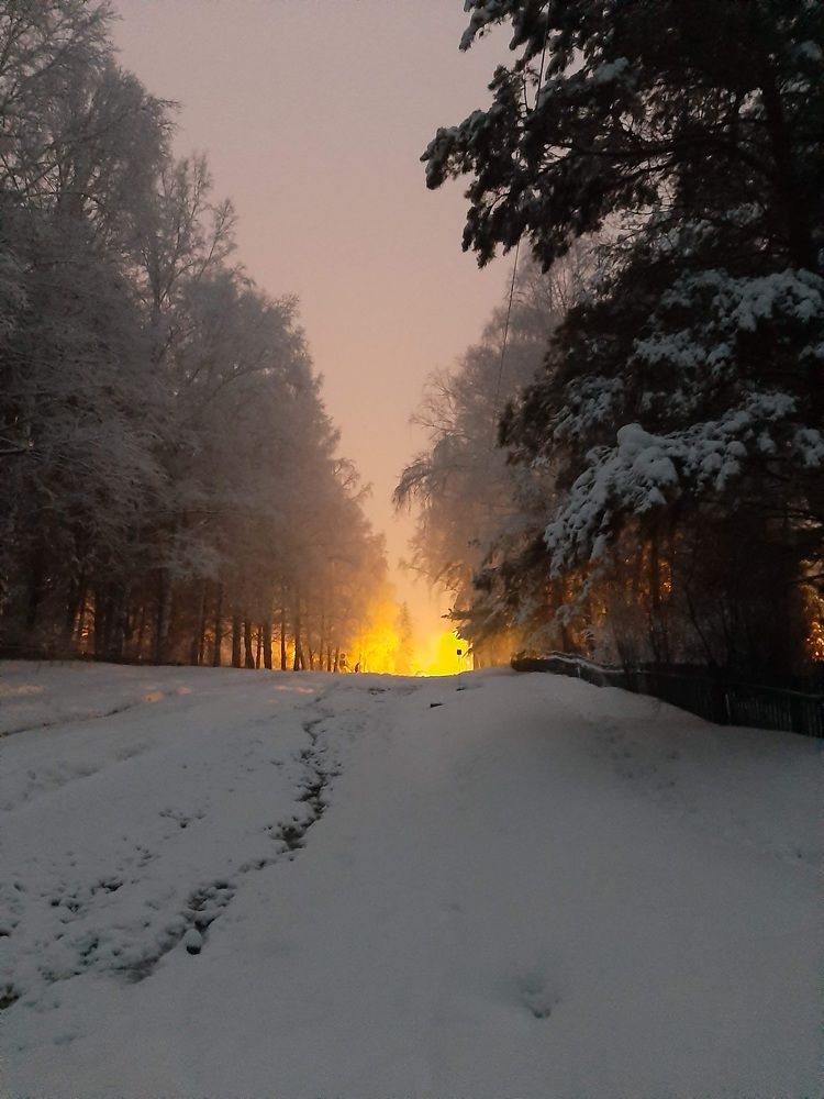 Photograph by Елена Горева