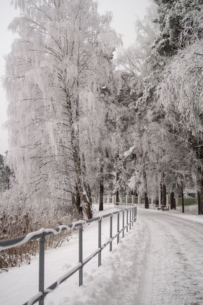 Фотография автора Нина Шкляр