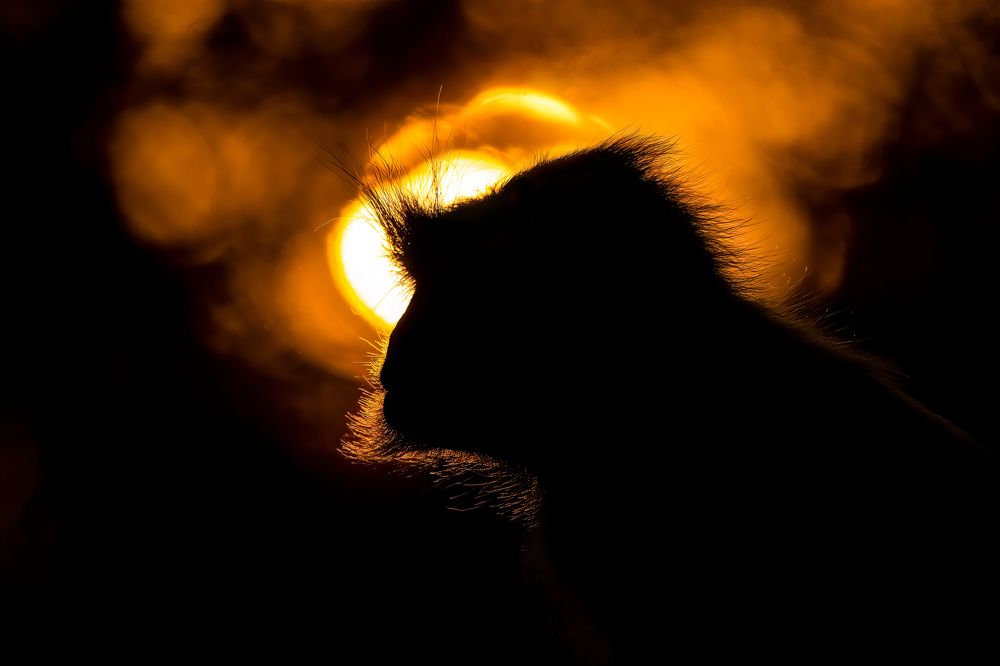 Photograph by Muhammed Zidan Photography