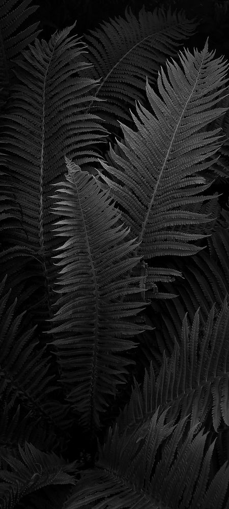 Фотография автора Анастасия Владимирова