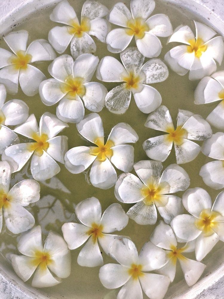 Фотография автора Julie Mishka