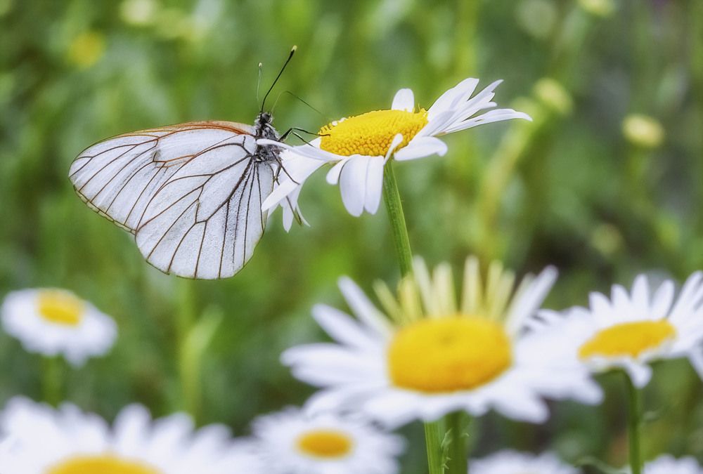 Photograph by Юлия Лушникова