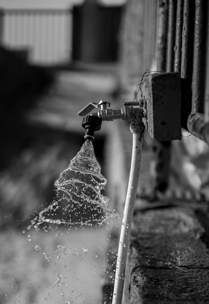 Photograph by Виталий