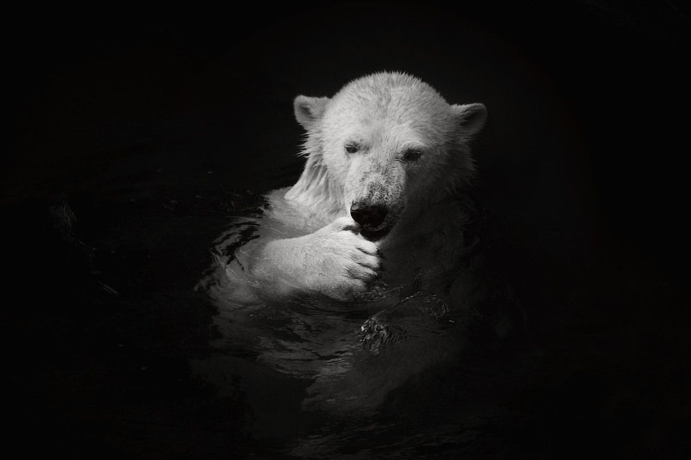 Photograph by Юлия Лушникова