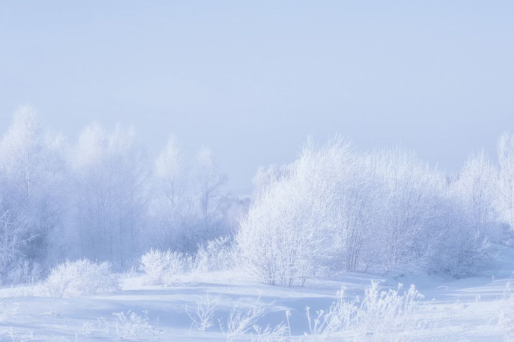 Photograph by Юлия Лушникова